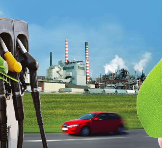 bio-energy
